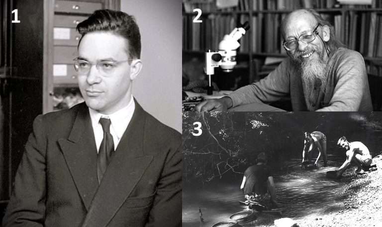 1) Louis Thaler dans les années 50 2) René Lavocat dans les années 70 3) Les paléontologues J tamisant les sédiments dans le Lez