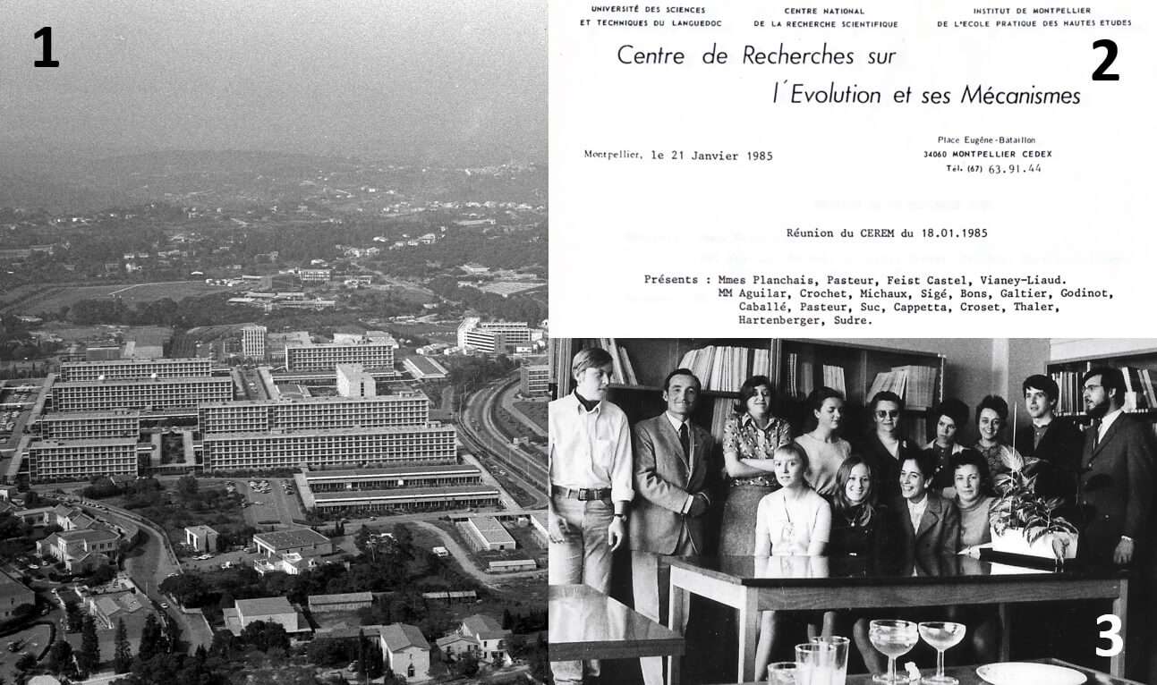 1) Photo aérienne du Campus Triolet de la Faculté des Sciences de Montpellier dans les années 60 2) Compte-rendu d’une réunion du CEREM 3) Le laboratoire de Palynologie en 1972 (de gauche à droite, en haut : Philippe Raz, Jean Maley, Claire Millerand, Elise Van Campo, Madeleine Van Campo, Danièle Duzer, Danièle Lobreau-Callen, Josef Sivak, Pierre Richard ; en bas : Anne-Marie Biglione, inconnu, Geneviève Cambon, Jacqueline Chambon)