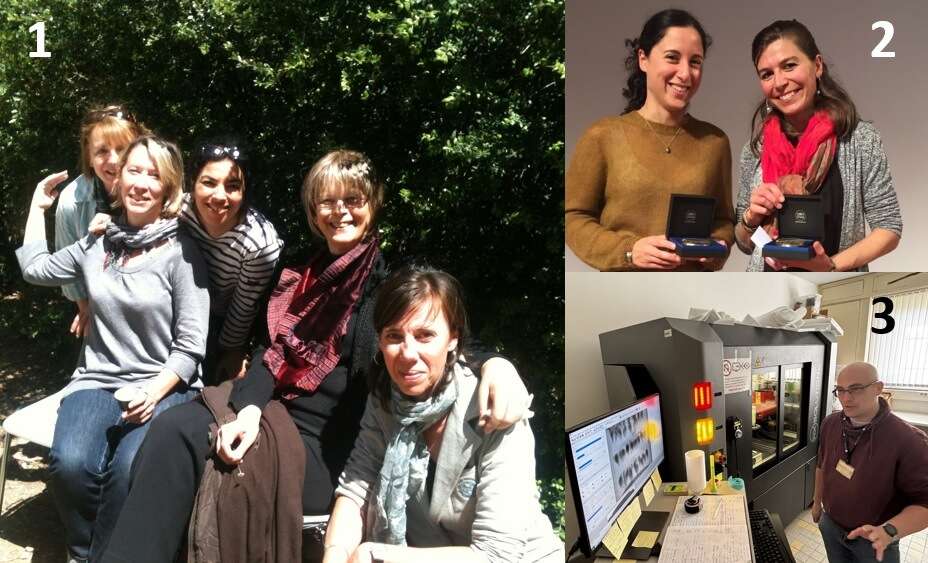 1) Une partie de l’équipe de l’ISEM à la journée des doctorants 2012 (Isabelle de la Serre, Claire Gougeat-Barbera, Fadela Tamoune, Brigitte Zattara, Christine Bibal 2) Remise de la médaille de Bronze CNRS à Sonia Kéfi et Elise Huchard (2017) 3) Service de microtomographie de l’ISEM et son responsable Renaud Lebrun